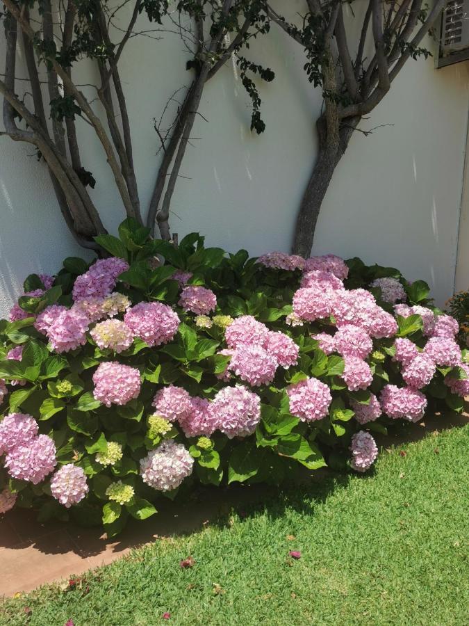 קבאנס דה טאבירה Luxury 3 Bedroom Villa With Private Pool מראה חיצוני תמונה